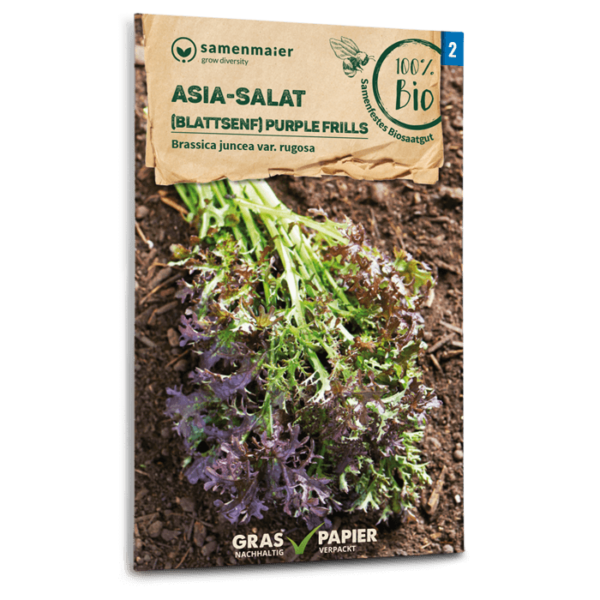 Samen Maier BIO Einzel EAN Asia Salat Blattsenf Purple Frills