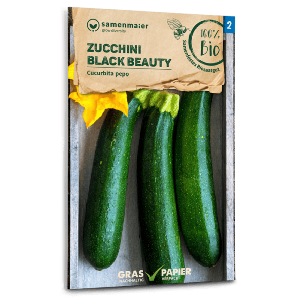 Samen Maier BIO Einzel EAN Zucchini Black Beauty