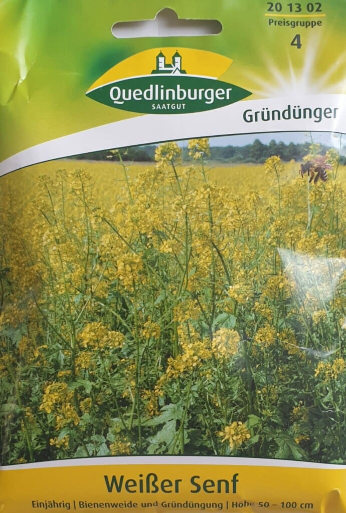 Senf 100g Von Quedlinburger Saatgut Shopping