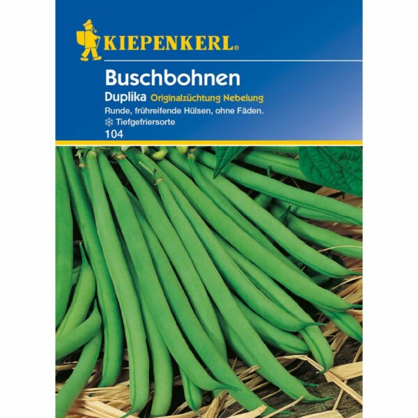 Buschbohnen Duplika