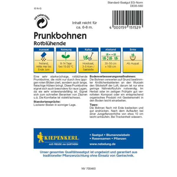 Prunkbohnen Rotblühende – Bild 2