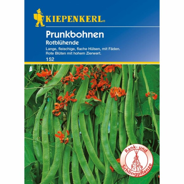 Prunkbohnen Rotblühende
