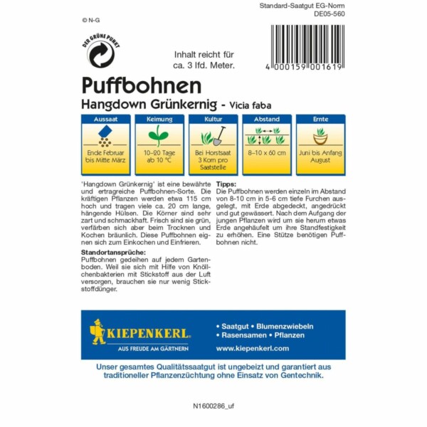 Puffbohnen Hangdown Grünkernig – Bild 2