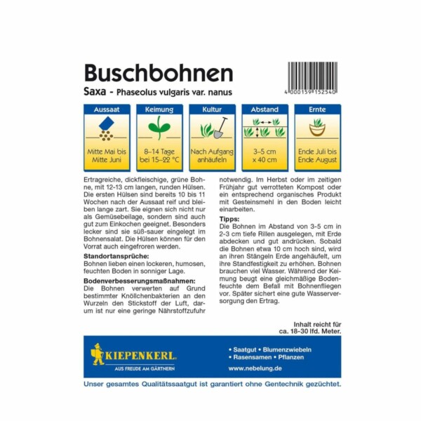 Buschbohnen 'Saxa' – Bild 2