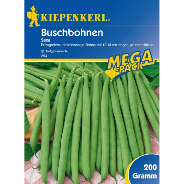 Buschbohnen 'Saxa'