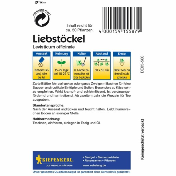 Liebstöckel (Maggikraut) – Bild 2