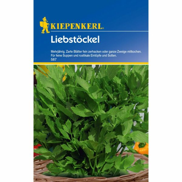 Liebstöckel (Maggikraut)