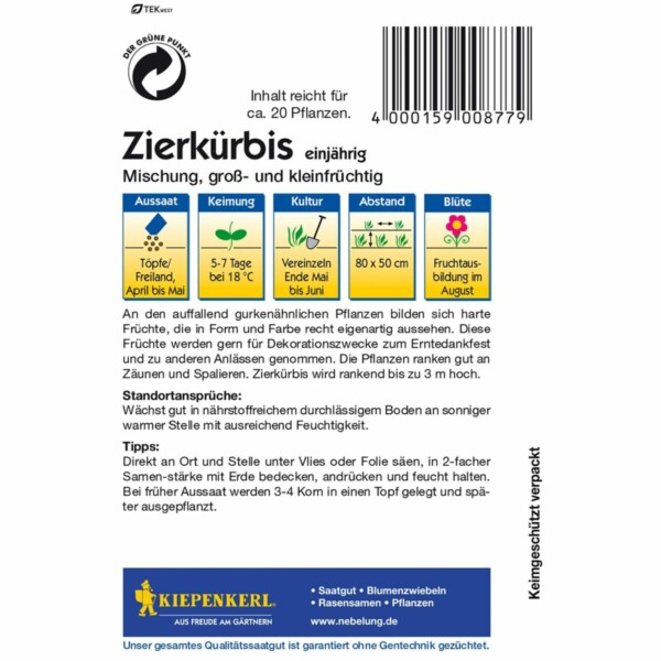 Zierkürbis Mischung – Bild 2