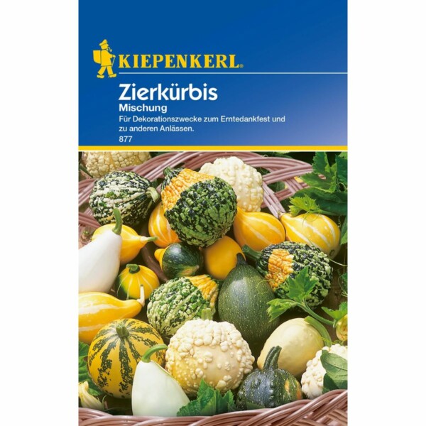 Zierkürbis Mischung