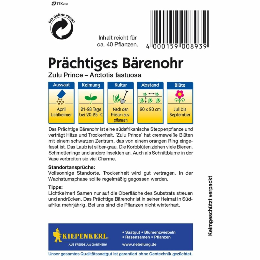 Prächtiges Bärenohr Zulu Prince Von Kiepenkerl Saatgut Shopping