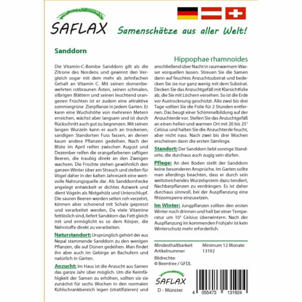 SAFLAX - Sanddorn - 40 Samen - Hippophae rhamnoides – Bild 2