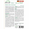 SAFLAX - Bonsai - Mittelmeer-Pinie - 6 Samen - Pinus pinea – Bild 2
