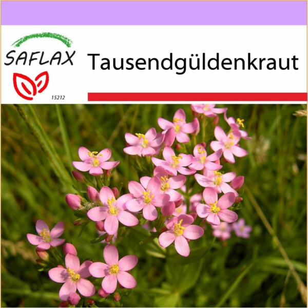 15212 centaurium erythraea K VS Q O T DE