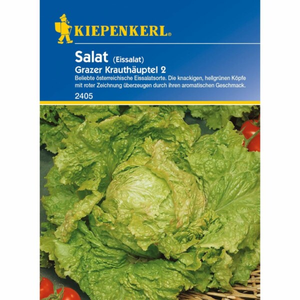 Kopfsalat Grazer Krauthäuptel