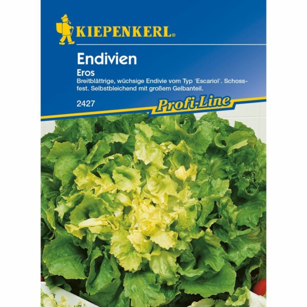 Endivien Eros