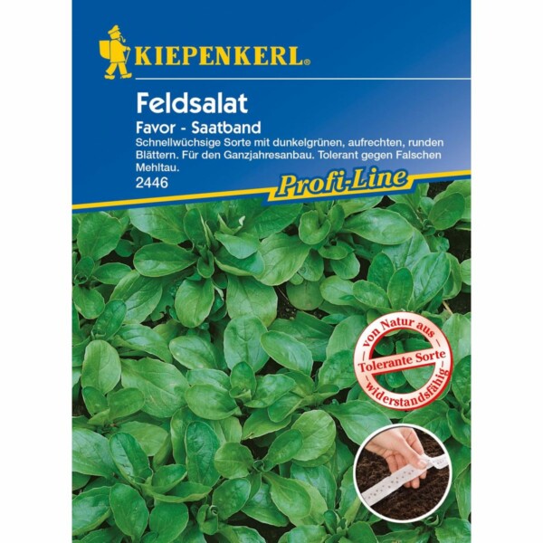 Feldsalat Favor - Saatband
