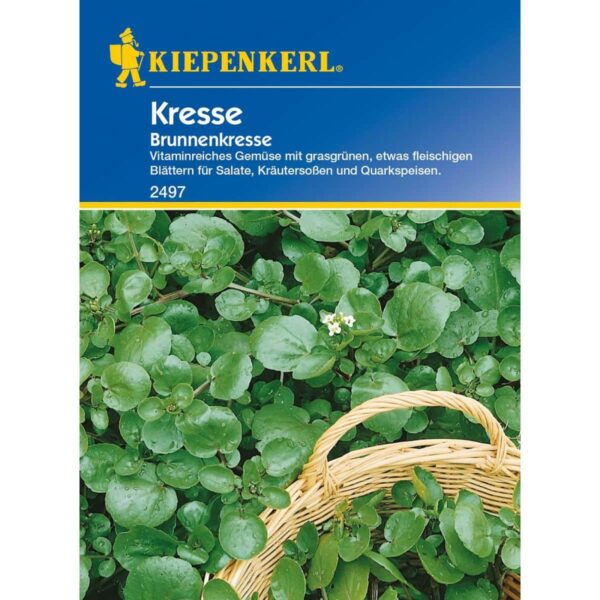 Brunnenkresse