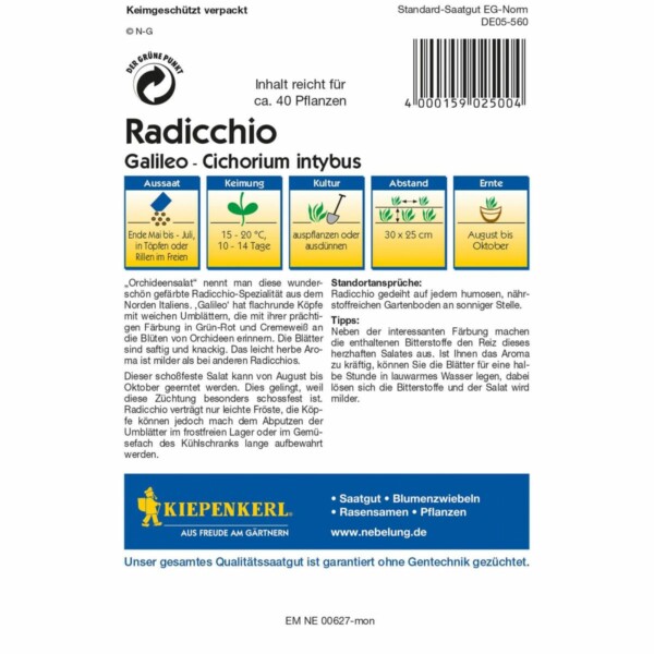 Radicchio Galileo – Bild 2