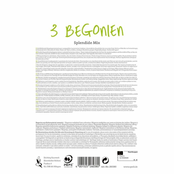 Sperli Premium Begonien Splendid Mix – Bild 2
