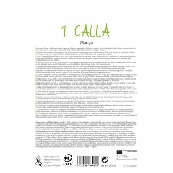 Sperli Calla Mango – Bild 2
