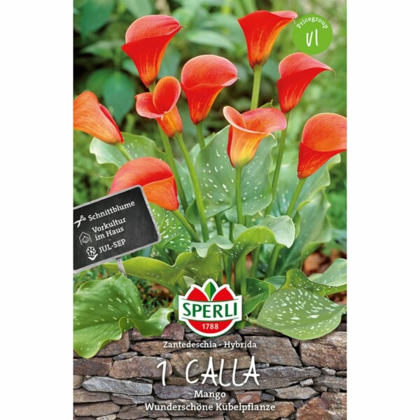 Sperli Calla Mango