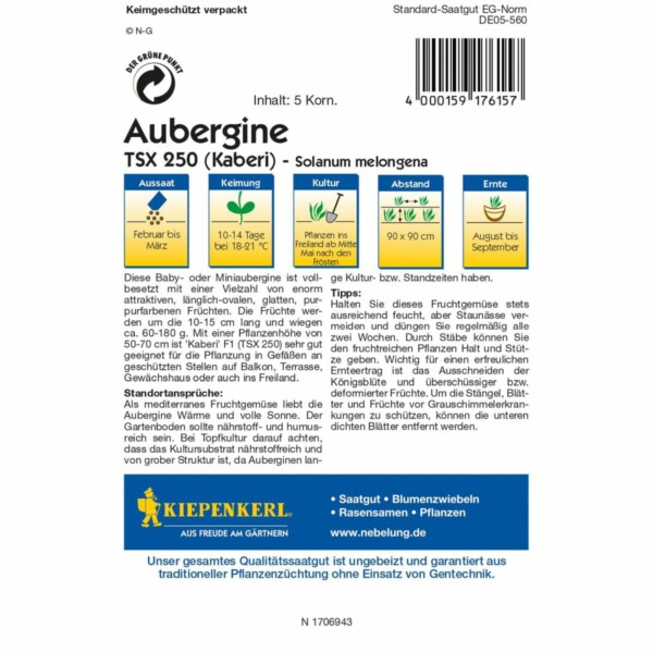Aubergine Kaberi – Bild 2