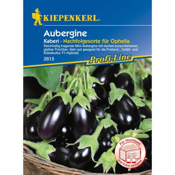 Aubergine Kaberi