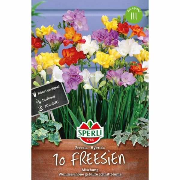 Sperli Freesien gefüllter Mix
