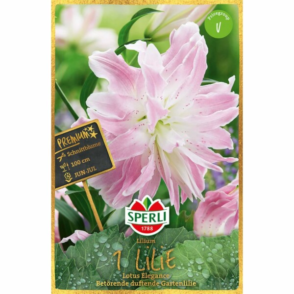 Sperli Premium Lilium Lotus Elegance