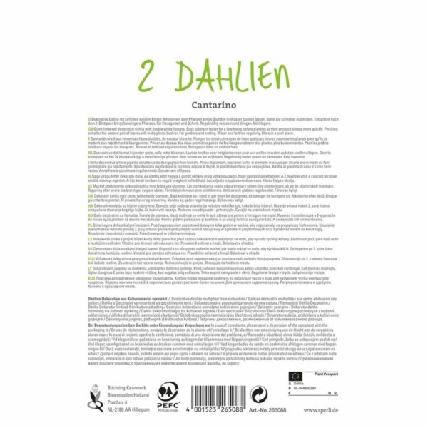 Sperli Dahlie Cantarino – Bild 2