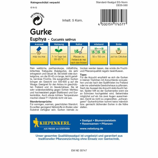 Gurke Euphya – Bild 2