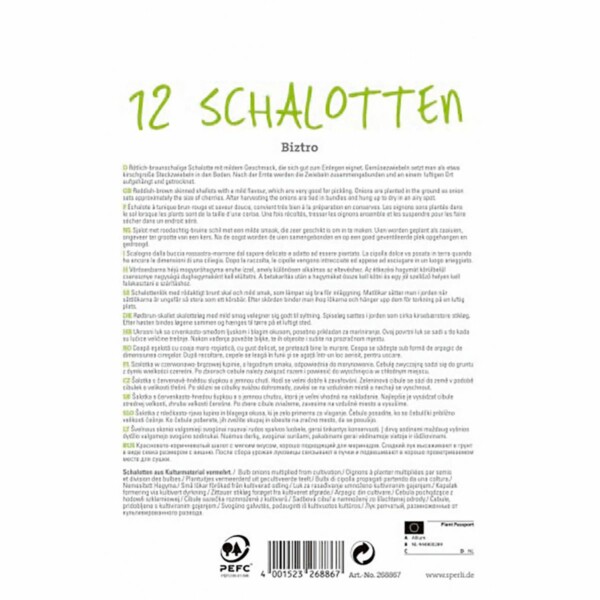Schalotte 'Biztro' – Bild 2