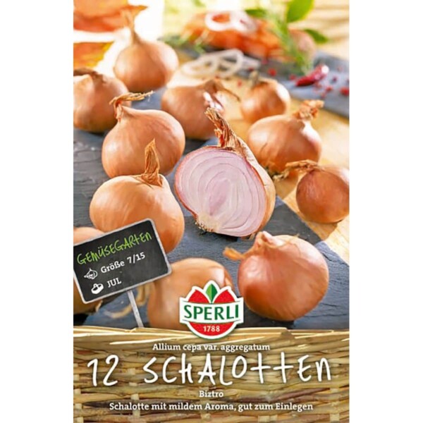 Schalotte 'Biztro'