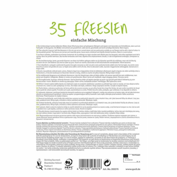Sperli Maxi Freesien einfacher Mix – Bild 2