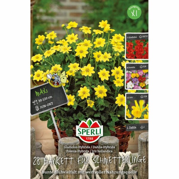 Sperli's Bankett für Schmetterlinge