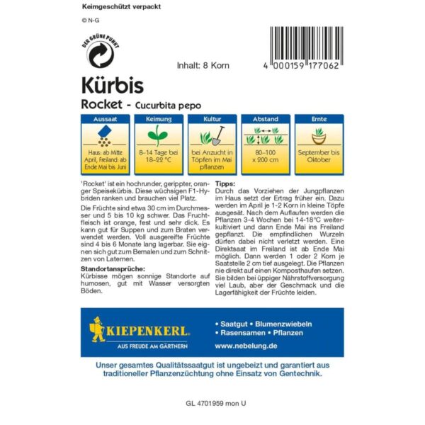 Kürbis Rocket F1 – Bild 2