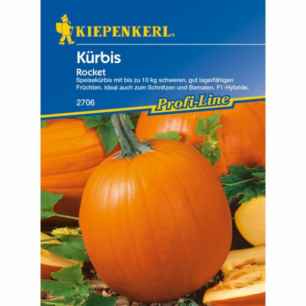Kürbis Rocket F1