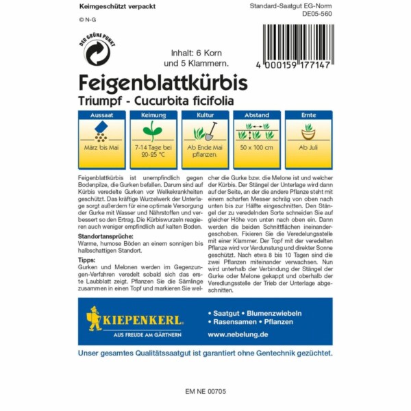 Veredelungsset Feigenblattkürbis plus Klammer – Bild 2