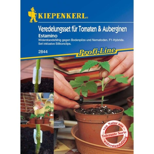 Tomaten-Auberginen Veredlungs - Set