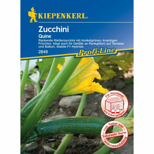 Zucchini Quine