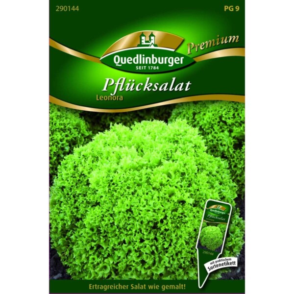 Salat Pflück- Leonora