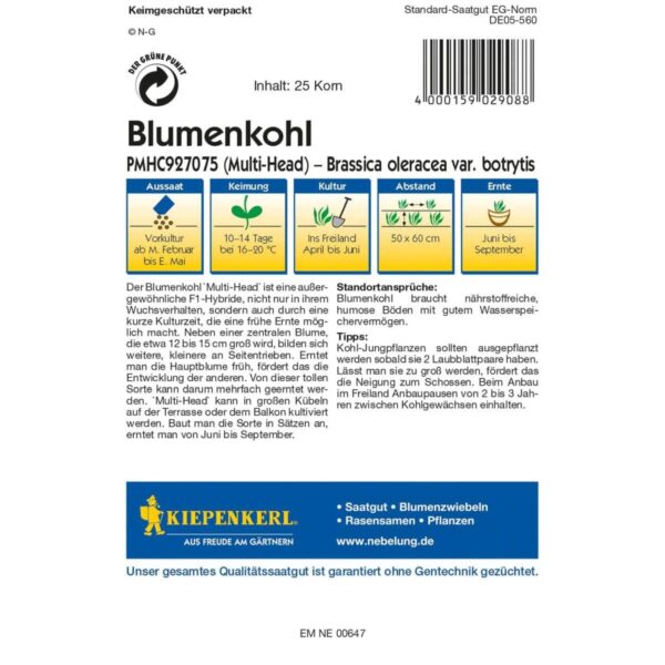 Blumenkohl Multi-Head, F1 – Bild 2