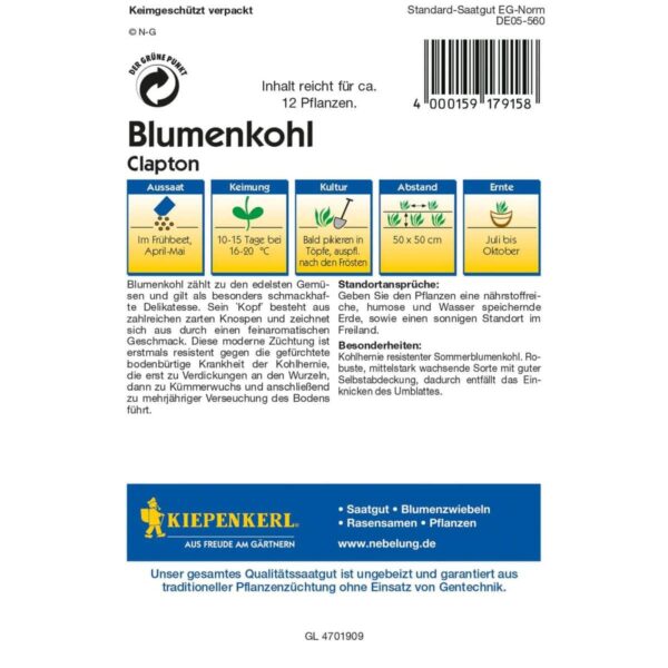 Blumenkohl Clapton, F1 – Bild 2