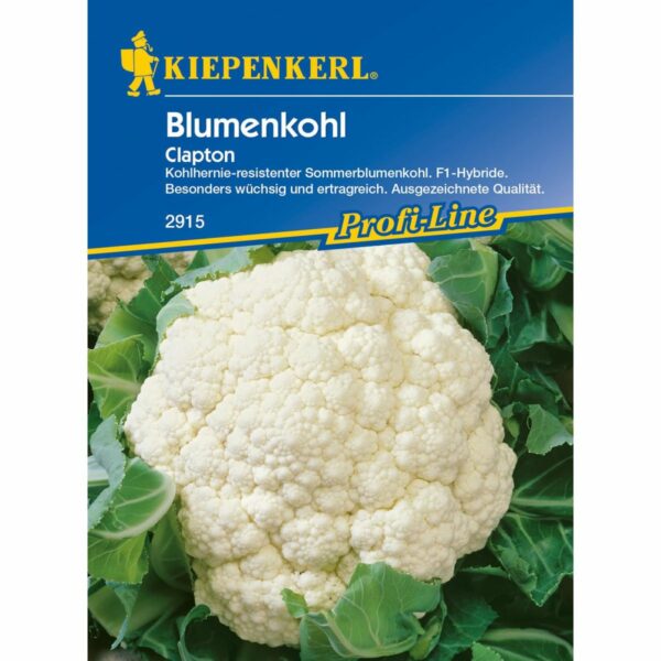 Blumenkohl Clapton, F1
