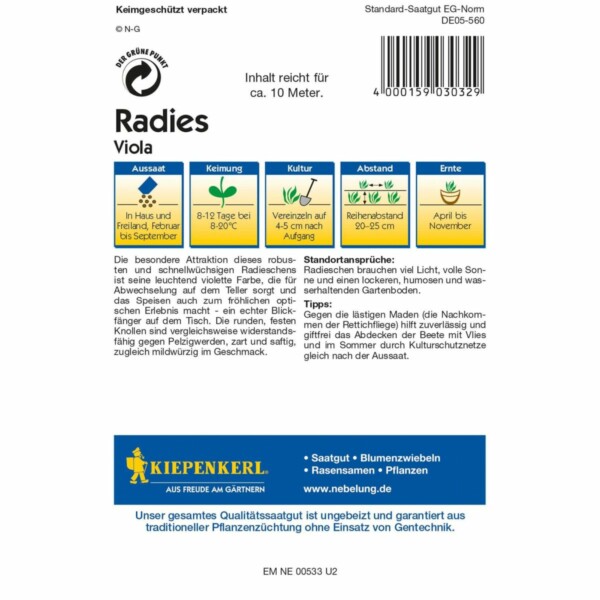 Radieschen Viola – Bild 2