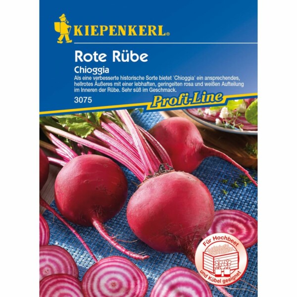 Rote Rübe Chioggia