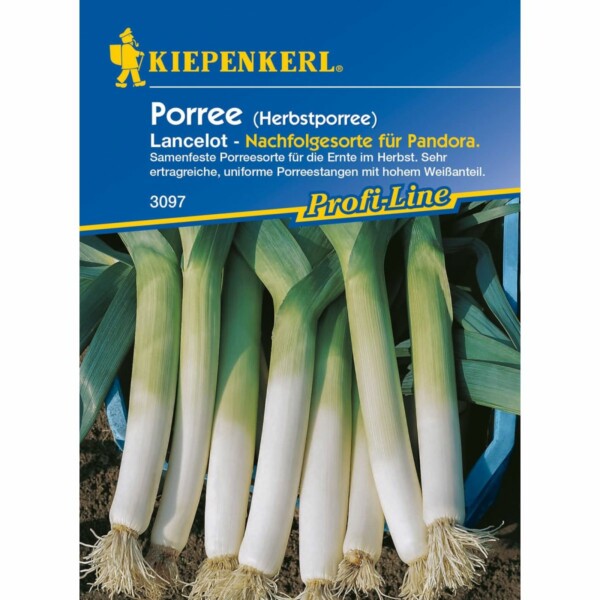Porree Blaugrüner Herfst/Lancelot