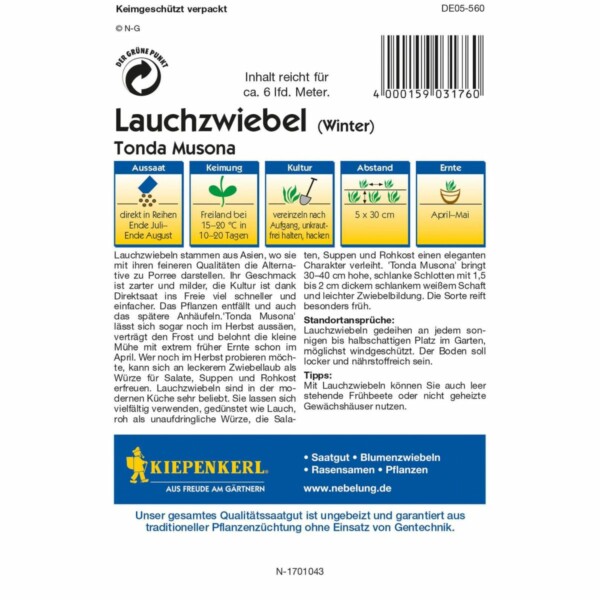 Winterlauchzwiebel Tonda Musona – Bild 2