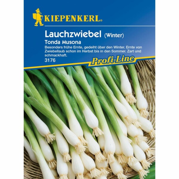 Winterlauchzwiebel Tonda Musona