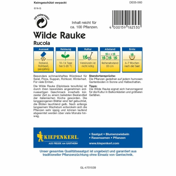 Wilde Rauke Rucola – Bild 2